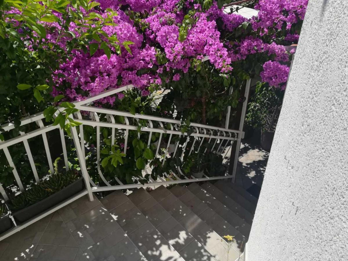 Dalmati house Hotel Brodarica  Kültér fotó