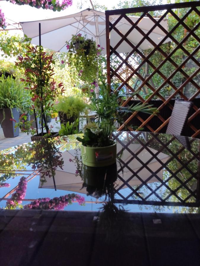 Dalmati house Hotel Brodarica  Kültér fotó