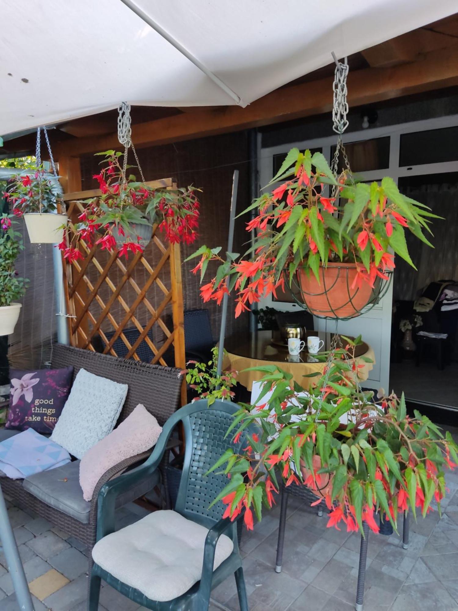 Dalmati house Hotel Brodarica  Kültér fotó